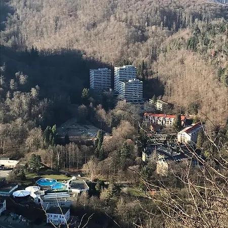 Waldblick - - Schwimmbad Und Sauna