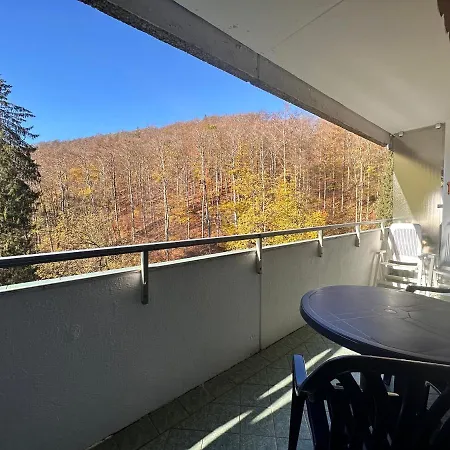 Waldblick - - Schwimmbad Und Sauna Apartment