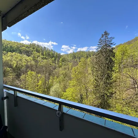 Apartmán Waldblick - - Schwimmbad Und Sauna Bad Harzburg
