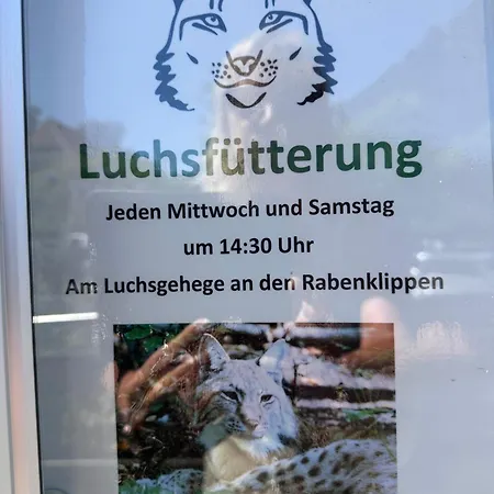 Waldblick - - Schwimmbad Und Sauna Bad Harzburg