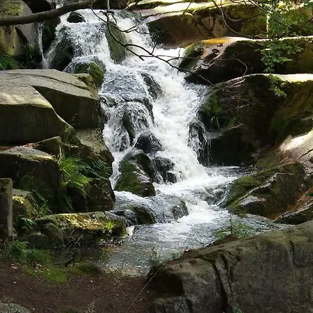 Waldblick - - Schwimmbad Und Sauna شقة