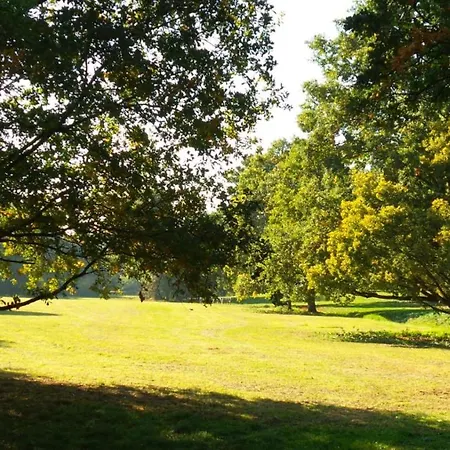 Waldblick - - Schwimmbad Und Sauna Apartment