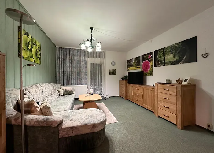 Waldblick - - Schwimmbad Und Sauna Apartament Bad Harzburg