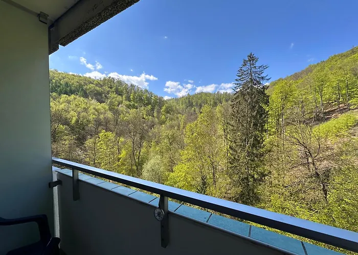 Apartament Waldblick - - Schwimmbad Und Sauna Bad Harzburg