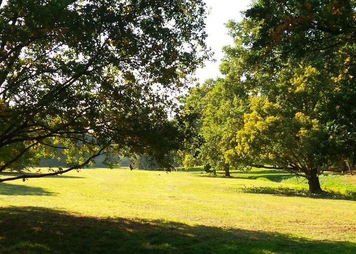Waldblick - - Schwimmbad Und Sauna Apartament